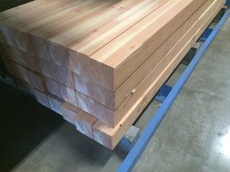 Douglas geschaafde palen 