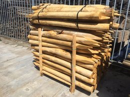 Kastanje palen / hekwerk