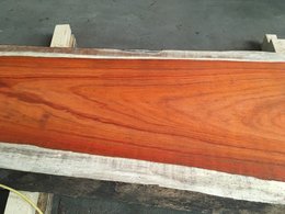 Padoek boomstamplanken / tafelbladen