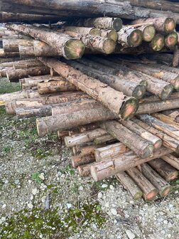 Spar in barst Kop 10 400cm