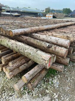 Spar in barst Kop 12/14 500cm