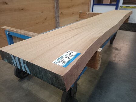 61 MM IROKO SCHAALDEEL W27 247CM 36/36/37CM