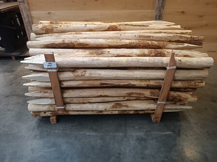KASTANJE PALEN KOP 8-10 180CM