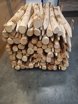 KASTANJE PALEN KOP 8-10 180CM