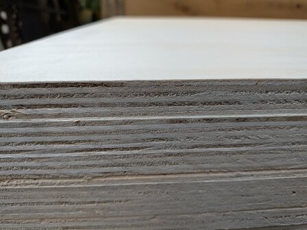 Multiplex interieur 18mm 122x250cm