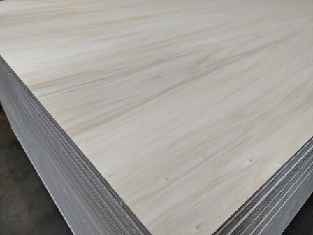 Multiplex interieur 6mm 122x250cm