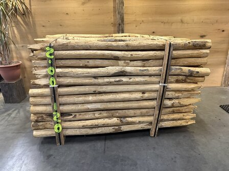 Kastanje kop 8/10 200 CM volle bundel 120 stuks