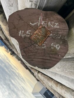 Groenhart oerdegelijke  groenhart kop 35/40 CM 14 meter lang