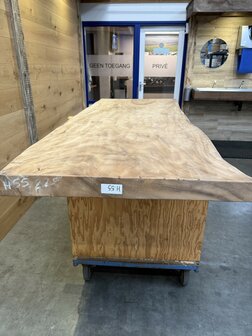 Suar boomstam tafelblad, unieke en massieve tafelblad 