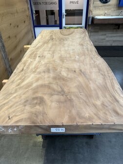 Suar boomstam tafelblad, unieke en massieve tafelblad 