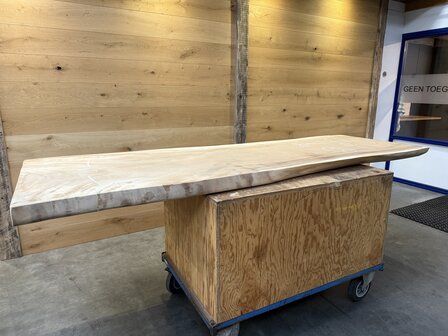 Suar boomstam tafelblad, unieke en massieve tafelblad 