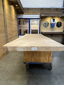 Suar boomstam tafelblad, unieke en massieve tafelblad 