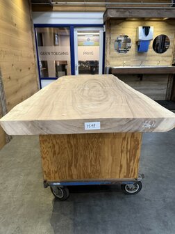 Suar boomstam tafelblad, unieke en massieve tafelblad 