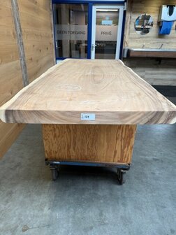 Suar boomstam tafelblad, unieke en massieve tafelblad 