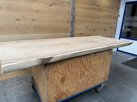 Suar boomstam tafelblad, unieke en massieve tafelblad 