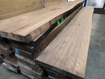 Amerikaans noten 22-25cm 245cm 1 rechte zijde