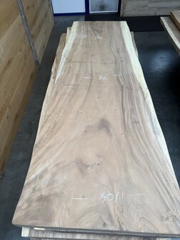 Suar boomstam tafelblad H13 100 x 300cm , unieke en massieve tafelblad