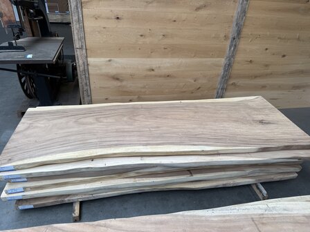 Suar boomstam tafelblad A14 100 x 300cm , unieke en massieve tafelblad