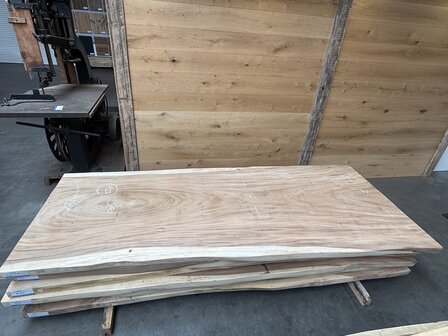 Suar boomstam tafelblad A15 100 x 300cm , unieke en massieve tafelblad