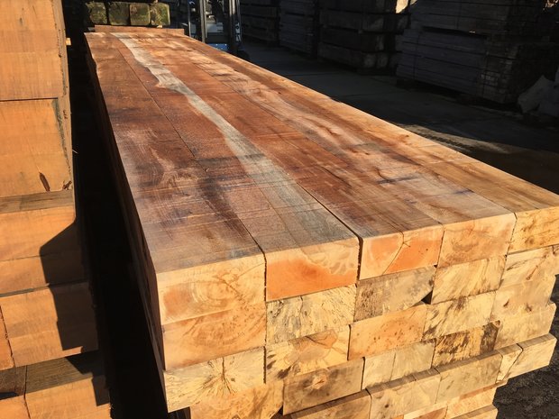 Beuken draglineschot 10x100x500 cm