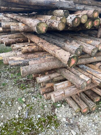 Spar in barst Kop 10 400cm