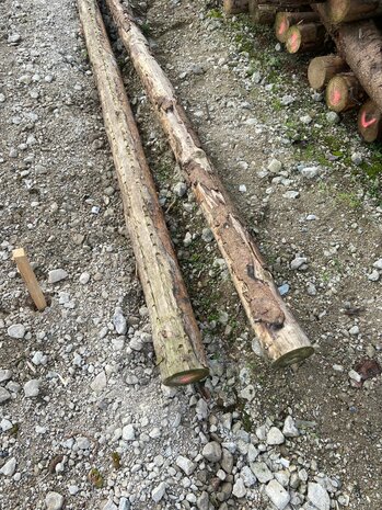 Spar in barst Kop 10 400cm