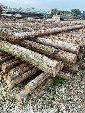 Spar in barst Kop 12/14 500cm