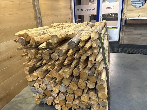 Kastanje kop 8/10 200 CM volle bundel 120 stuks