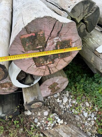 Groenhart oerdegelijke  groenhart kop 35/40 CM 14 meter lang