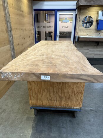 Suar boomstam tafelblad, unieke en massieve tafelblad 