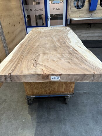 Suar boomstam tafelblad, unieke en massieve tafelblad 