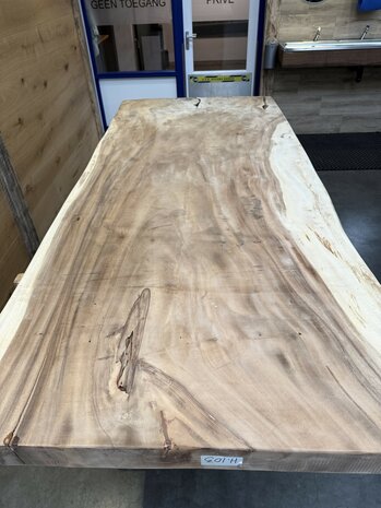 Suar boomstam tafelblad, unieke en massieve tafelblad 