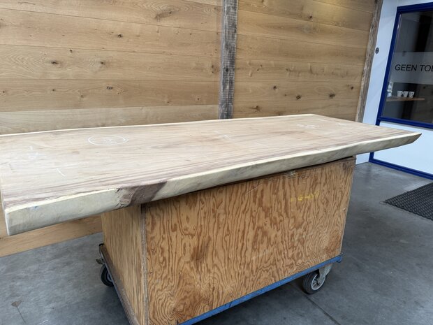 Suar boomstam tafelblad, unieke en massieve tafelblad 