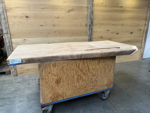 Suar boomstam tafelblad A160 98 x 200cm , unieke en massieve tafelblad