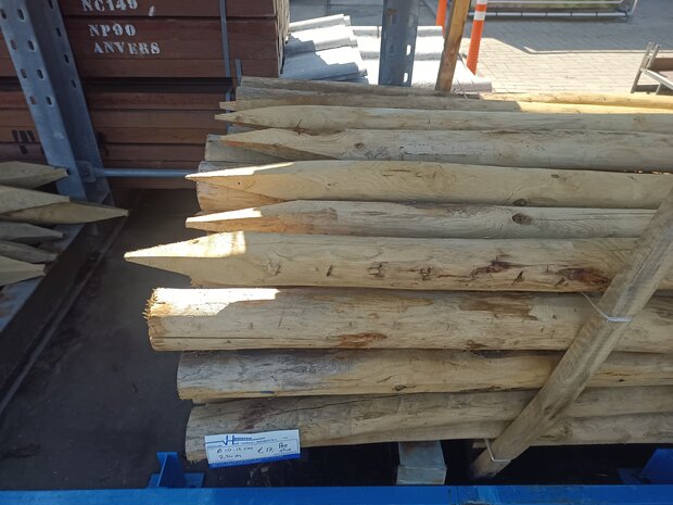 KASTANJE PALEN KOP 10-12 200 cm