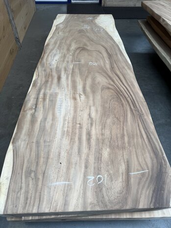 Suar boomstam tafelblad A16 100 x 300cm , unieke en massieve tafelblad