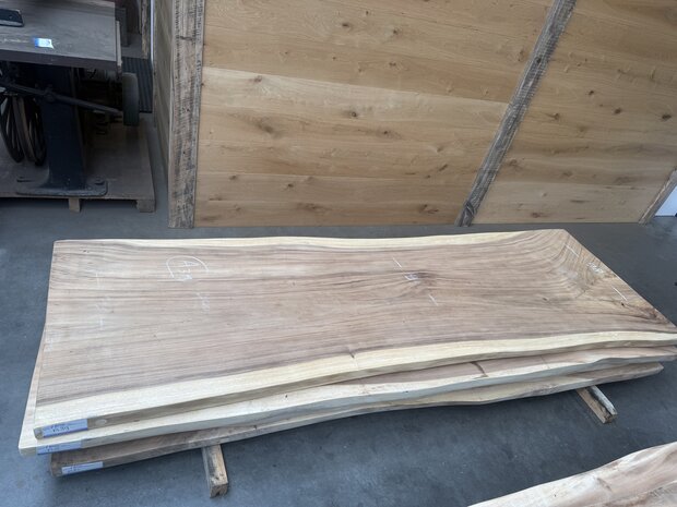 Suar boomstam tafelblad A39 95 x 300cm , unieke en massieve tafelblad
