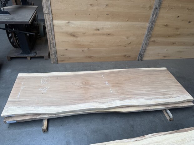 Suar boomstam tafelblad A9 90 x 300cm , unieke en massieve tafelblad