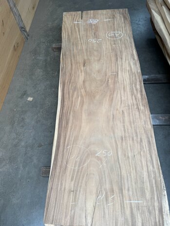 Suar boomstam tafelblad I10 85x250cm , unieke en massieve tafelblad