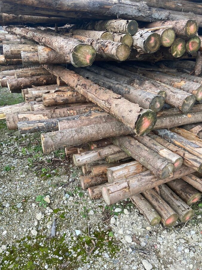 Spar-in-de-barst