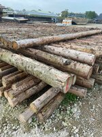 Spar in barst Kop 12/14 600cm