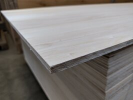 Multiplex interieur 9mm 122x250cm